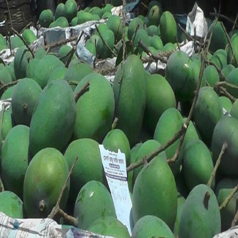 সাতক্ষীরার খাঁটি গোবিন্দভোগ (10 KG)