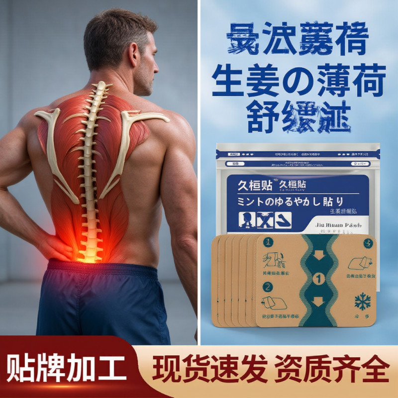(2 Packets 14 pcs)-Japanese Back Pain Relief Patch
